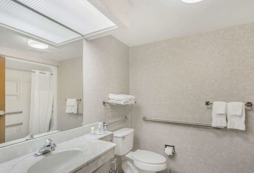 호텔 Comfort Inn