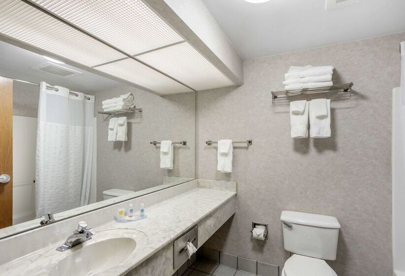 ホテル Comfort Inn