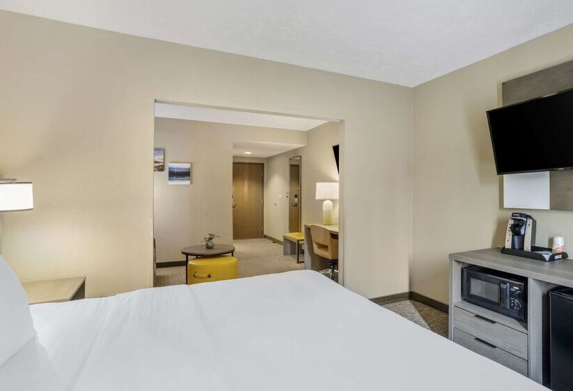 호텔 Comfort Inn