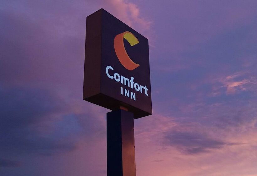 酒店 Comfort Inn