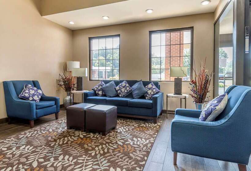 هتل Comfort Inn Near Downtown & Blue Ridge Pkwy