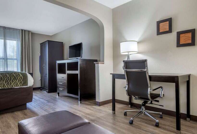 هتل Comfort Inn Near Downtown & Blue Ridge Pkwy