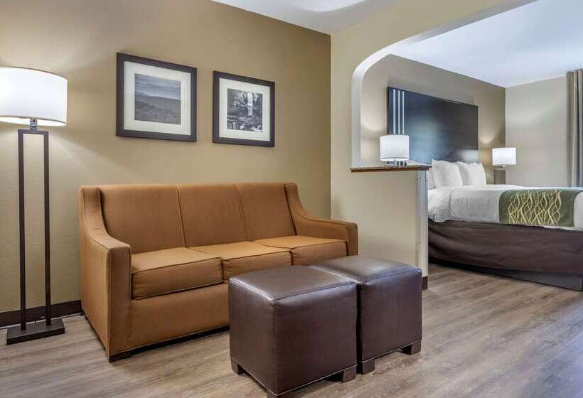 هتل Comfort Inn Near Downtown & Blue Ridge Pkwy
