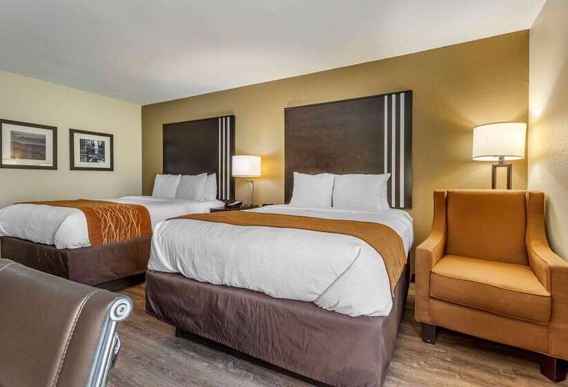 هتل Comfort Inn Near Downtown & Blue Ridge Pkwy
