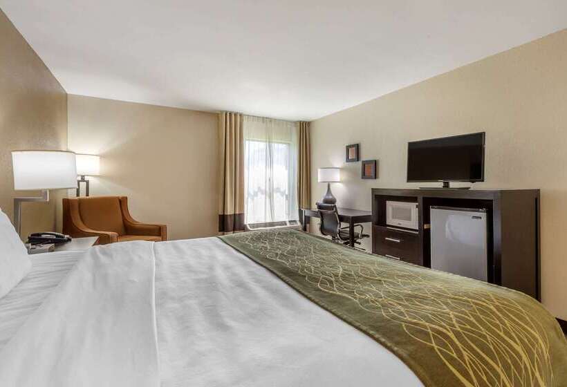هتل Comfort Inn Near Downtown & Blue Ridge Pkwy
