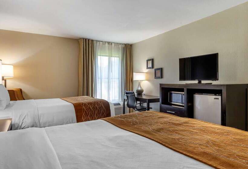 هتل Comfort Inn Near Downtown & Blue Ridge Pkwy