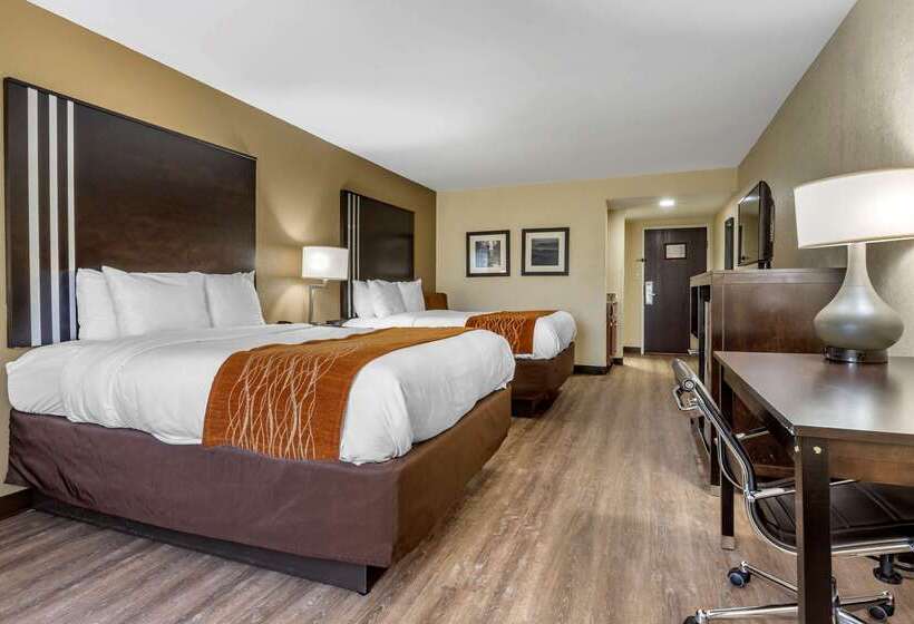 هتل Comfort Inn Near Downtown & Blue Ridge Pkwy