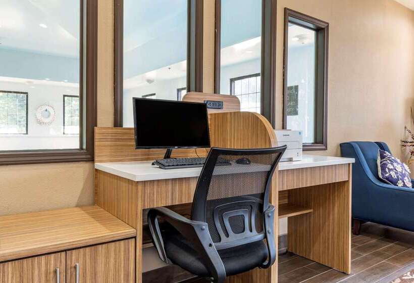 هتل Comfort Inn Near Downtown & Blue Ridge Pkwy