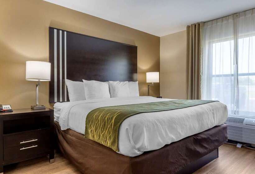 هتل Comfort Inn Near Downtown & Blue Ridge Pkwy