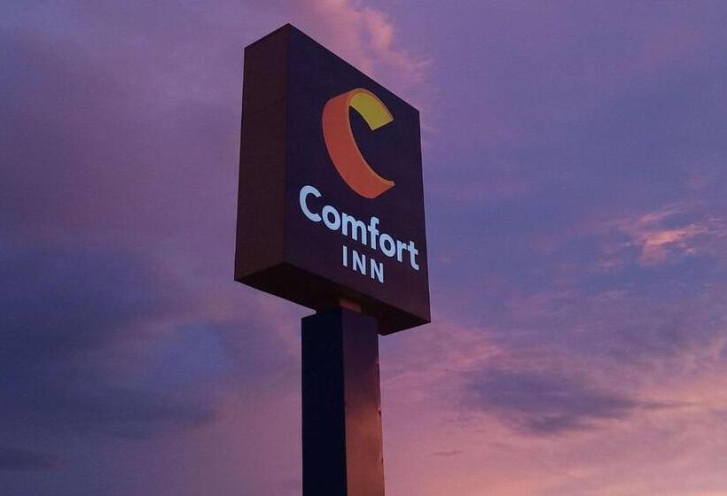 هتل Comfort Inn Near Downtown & Blue Ridge Pkwy