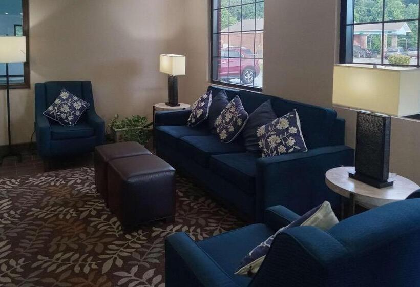 هتل Comfort Inn Near Downtown & Blue Ridge Pkwy