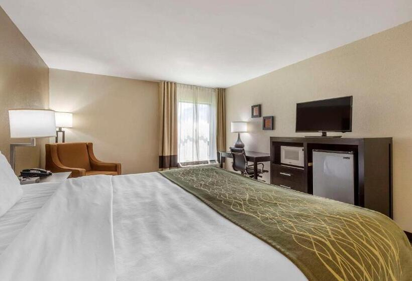 هتل Comfort Inn Near Downtown & Blue Ridge Pkwy
