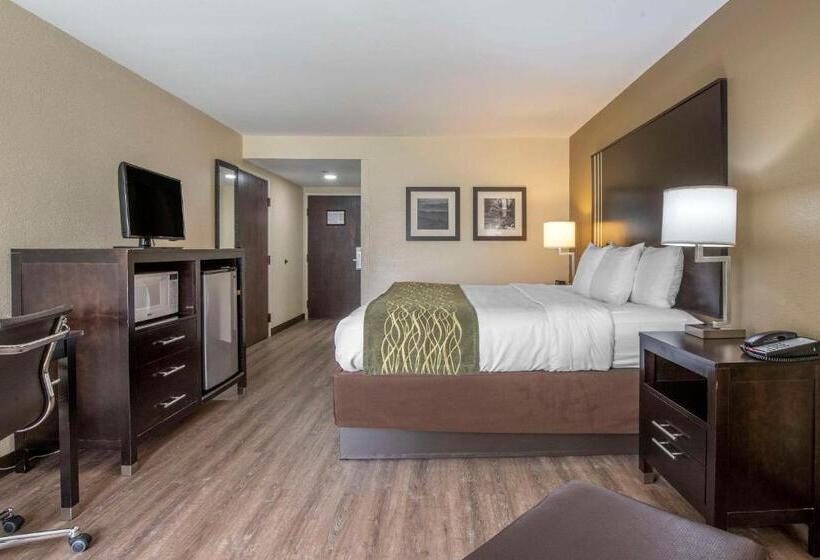 هتل Comfort Inn Near Downtown & Blue Ridge Pkwy