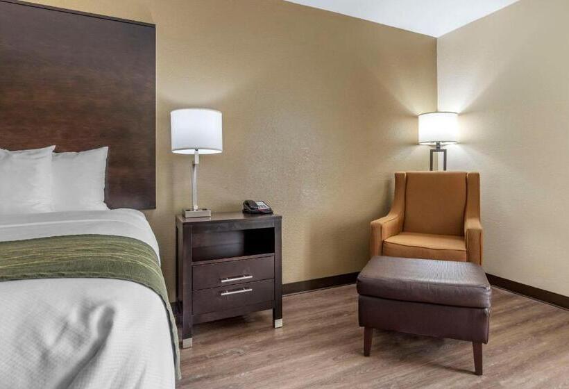 هتل Comfort Inn Near Downtown & Blue Ridge Pkwy