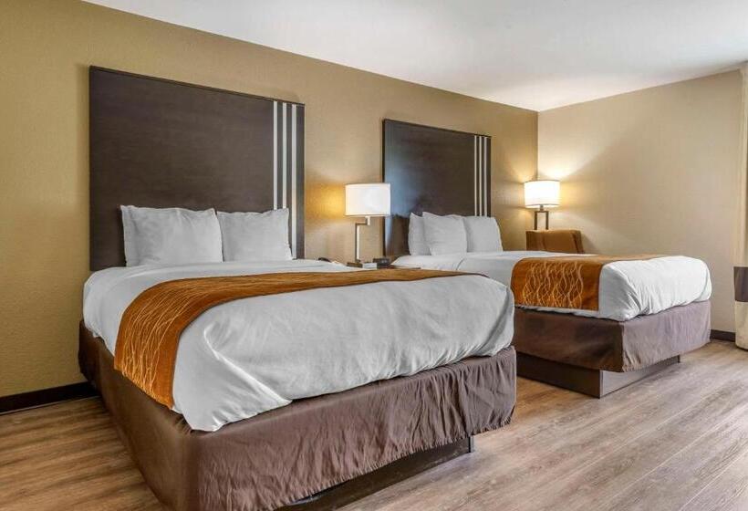 هتل Comfort Inn Near Downtown & Blue Ridge Pkwy