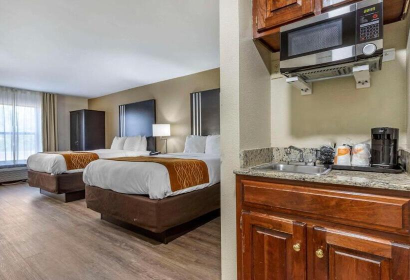 هتل Comfort Inn Near Downtown & Blue Ridge Pkwy