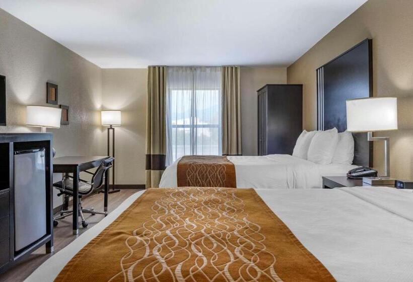 هتل Comfort Inn Near Downtown & Blue Ridge Pkwy