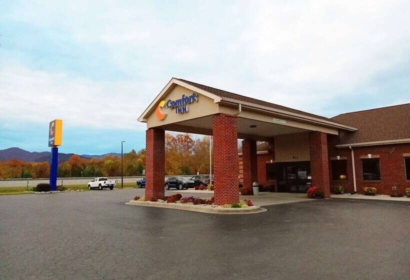 هتل Comfort Inn Near Downtown & Blue Ridge Pkwy