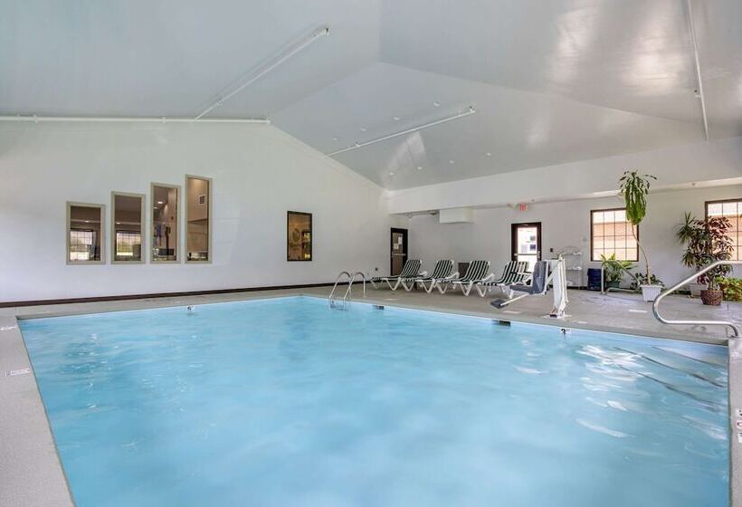 هتل Comfort Inn Near Downtown & Blue Ridge Pkwy