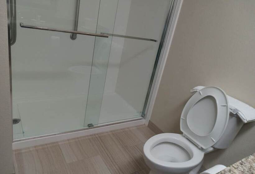 هتل Comfort Inn Near Downtown & Blue Ridge Pkwy