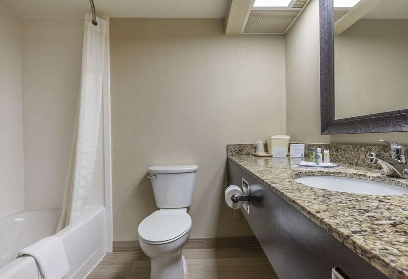 هتل Comfort Inn Near Downtown & Blue Ridge Pkwy