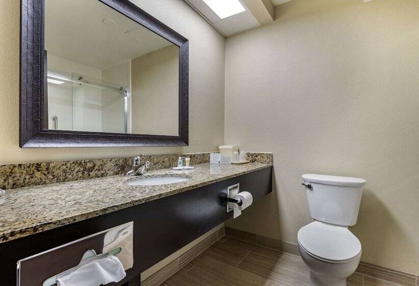 هتل Comfort Inn Near Downtown & Blue Ridge Pkwy