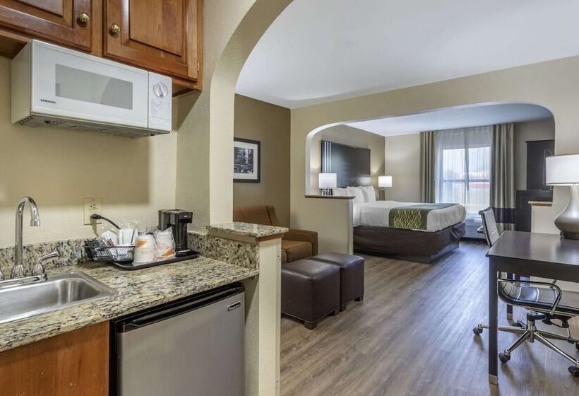 هتل Comfort Inn Near Downtown & Blue Ridge Pkwy