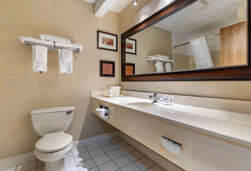 هتل Comfort Inn Muscatine Near Hwy 61
