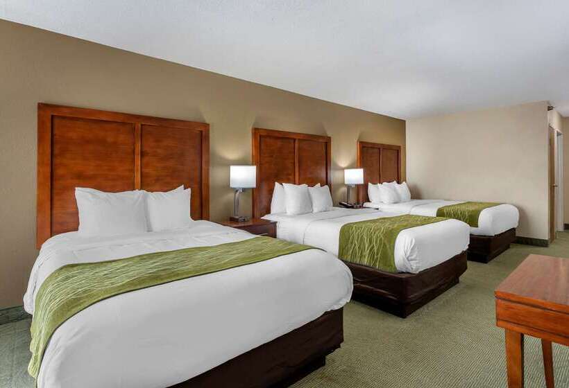 هتل Comfort Inn Muscatine Near Hwy 61