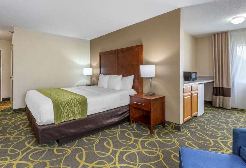 هتل Comfort Inn Muscatine Near Hwy 61