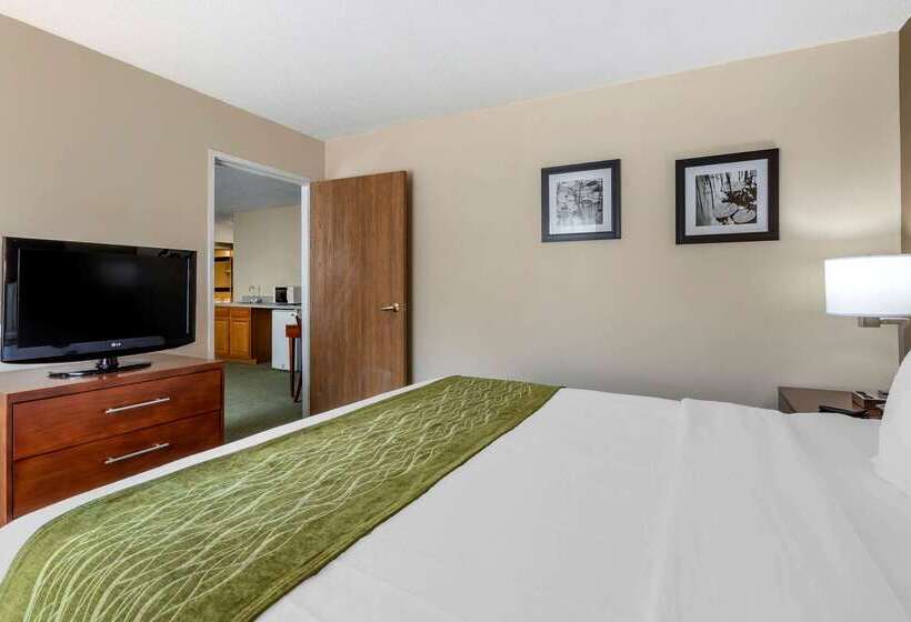 هتل Comfort Inn Muscatine Near Hwy 61