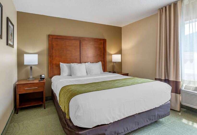 هتل Comfort Inn Muscatine Near Hwy 61