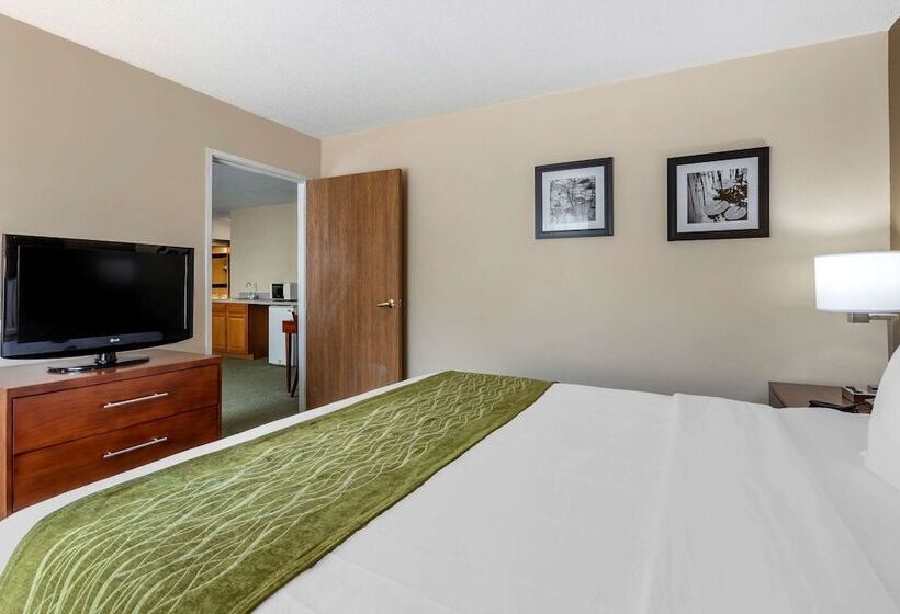 هتل Comfort Inn Muscatine Near Hwy 61
