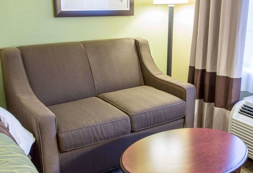 酒店 Comfort Inn Shreveport I49