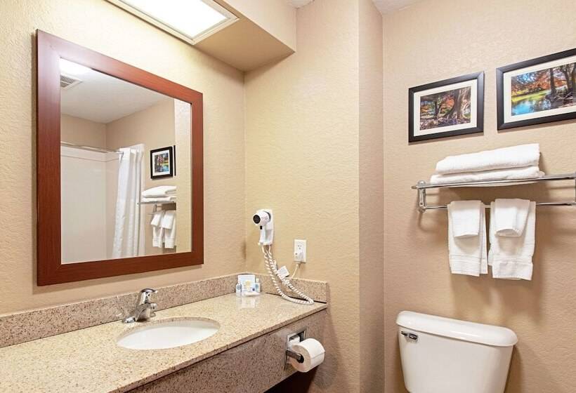 هتل Comfort Inn & Suites And Suites Fredericksburg