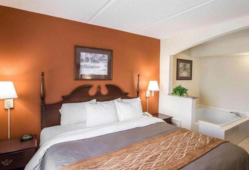 فندق Comfort Inn & Suites At I 85