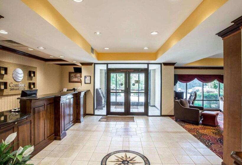 هتل Comfort Inn & Suites At I 85