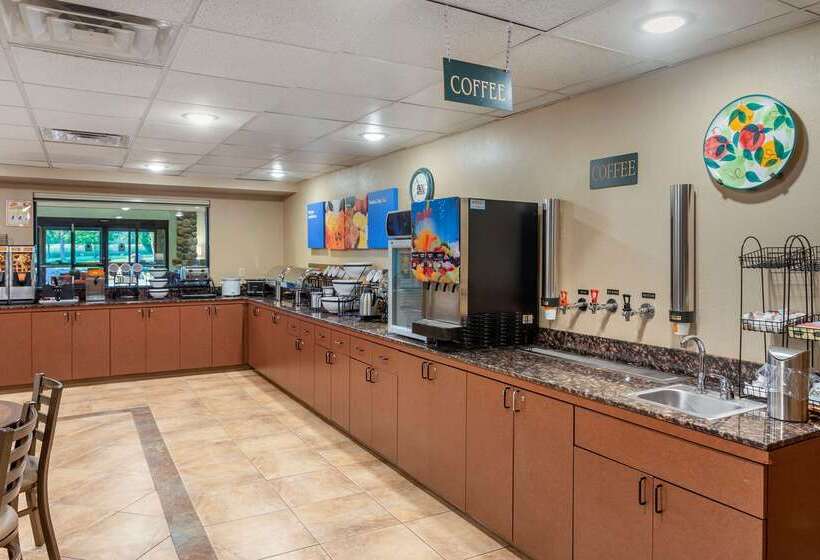 Hotel Comfort Inn & Suites Branson Meadows