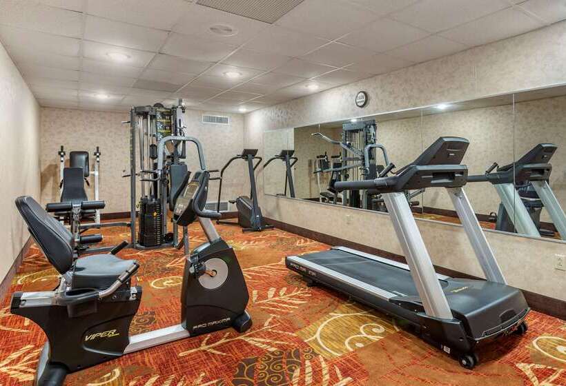 هتل Comfort Inn & Suites Branson Meadows