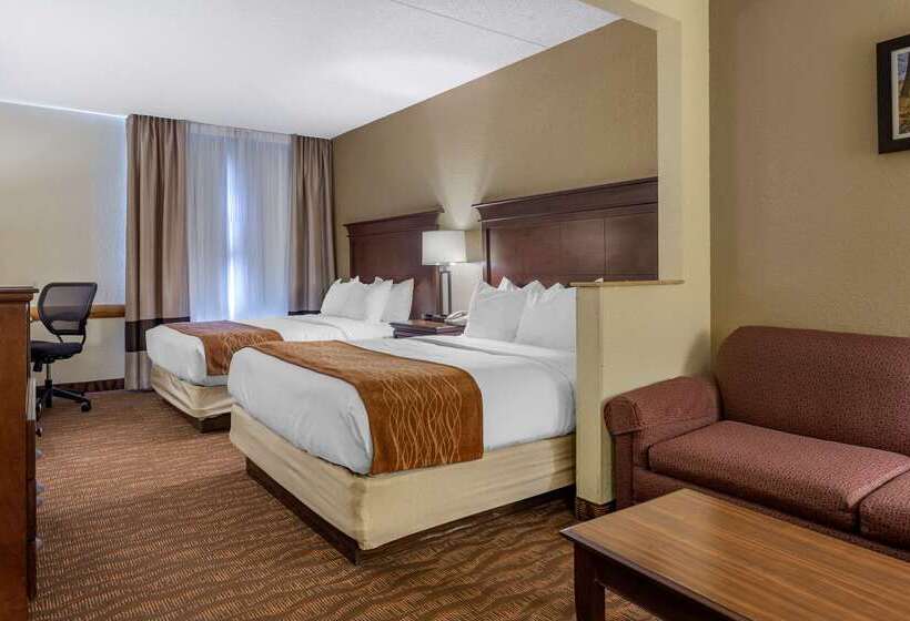 هتل Comfort Inn & Suites Branson Meadows