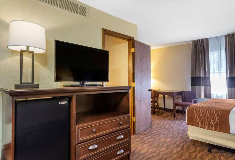 Hotel Comfort Inn & Suites Branson Meadows