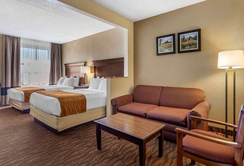 Hotel Comfort Inn & Suites Branson Meadows