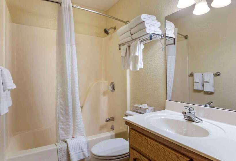 Hotel Comfort Inn & Suites Branson Meadows