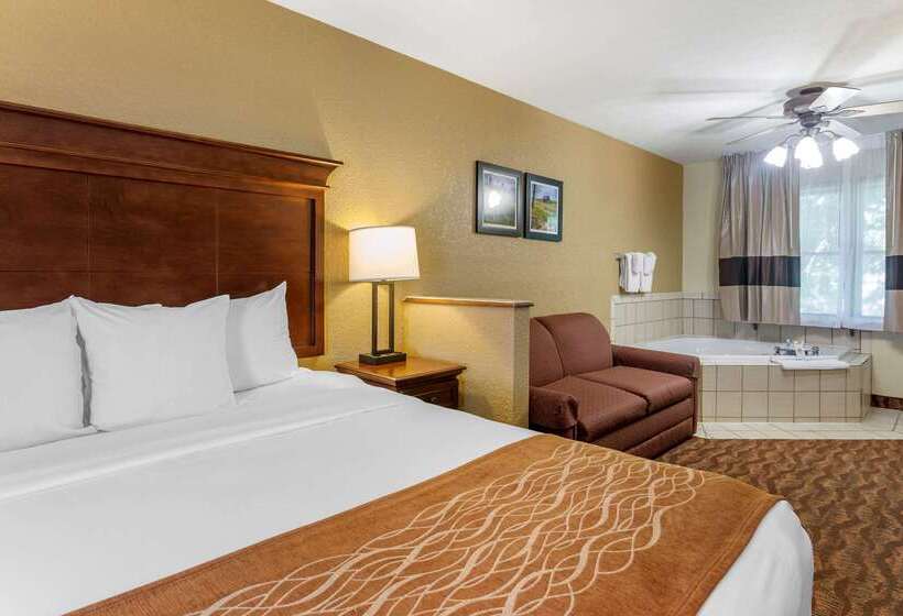 Hotel Comfort Inn & Suites Branson Meadows