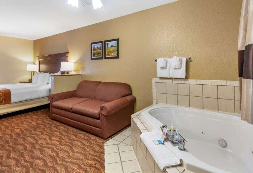 Hotel Comfort Inn & Suites Branson Meadows