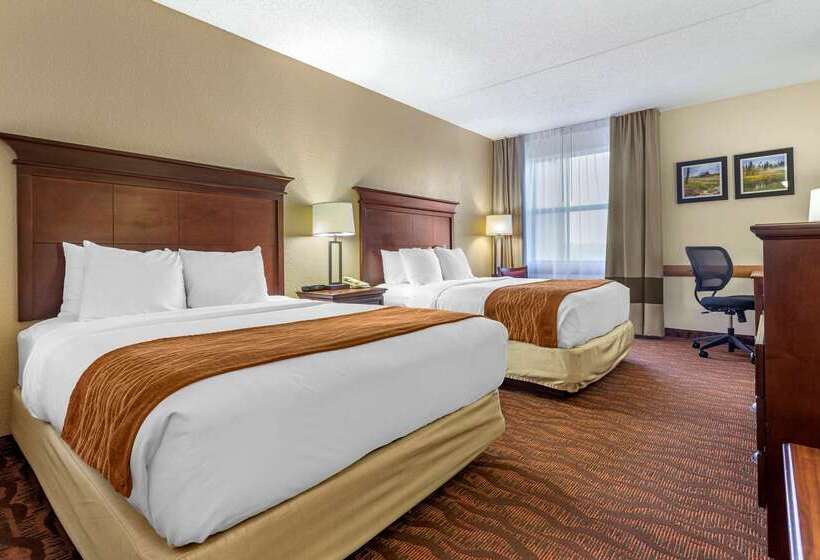 هتل Comfort Inn & Suites Branson Meadows