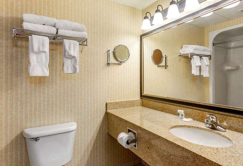 Hotel Comfort Inn & Suites Branson Meadows