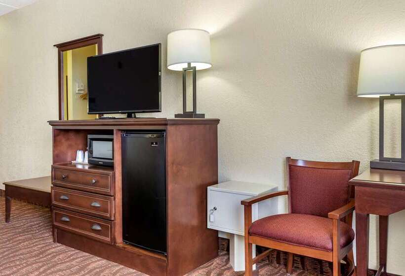 Hotel Comfort Inn & Suites Branson Meadows