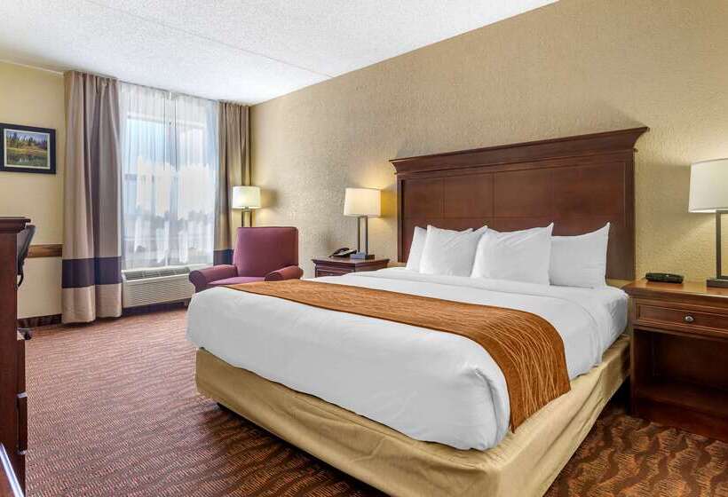 Hotel Comfort Inn & Suites Branson Meadows