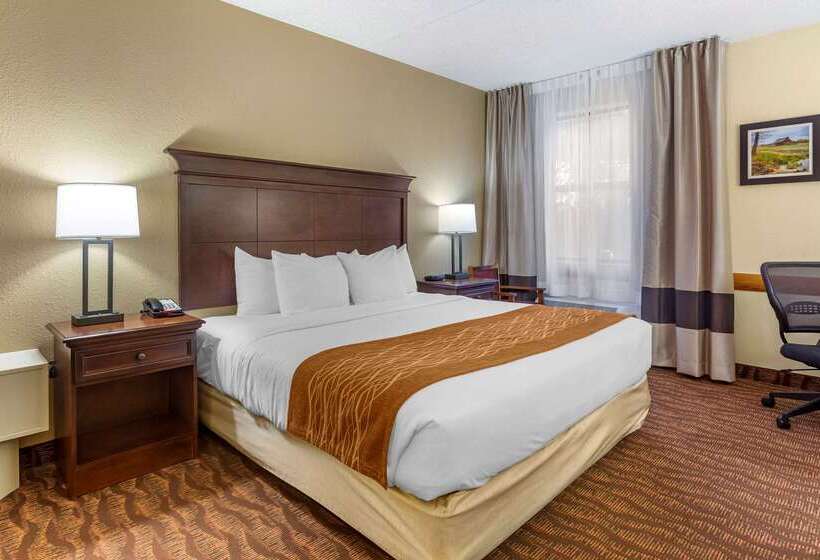 هتل Comfort Inn & Suites Branson Meadows